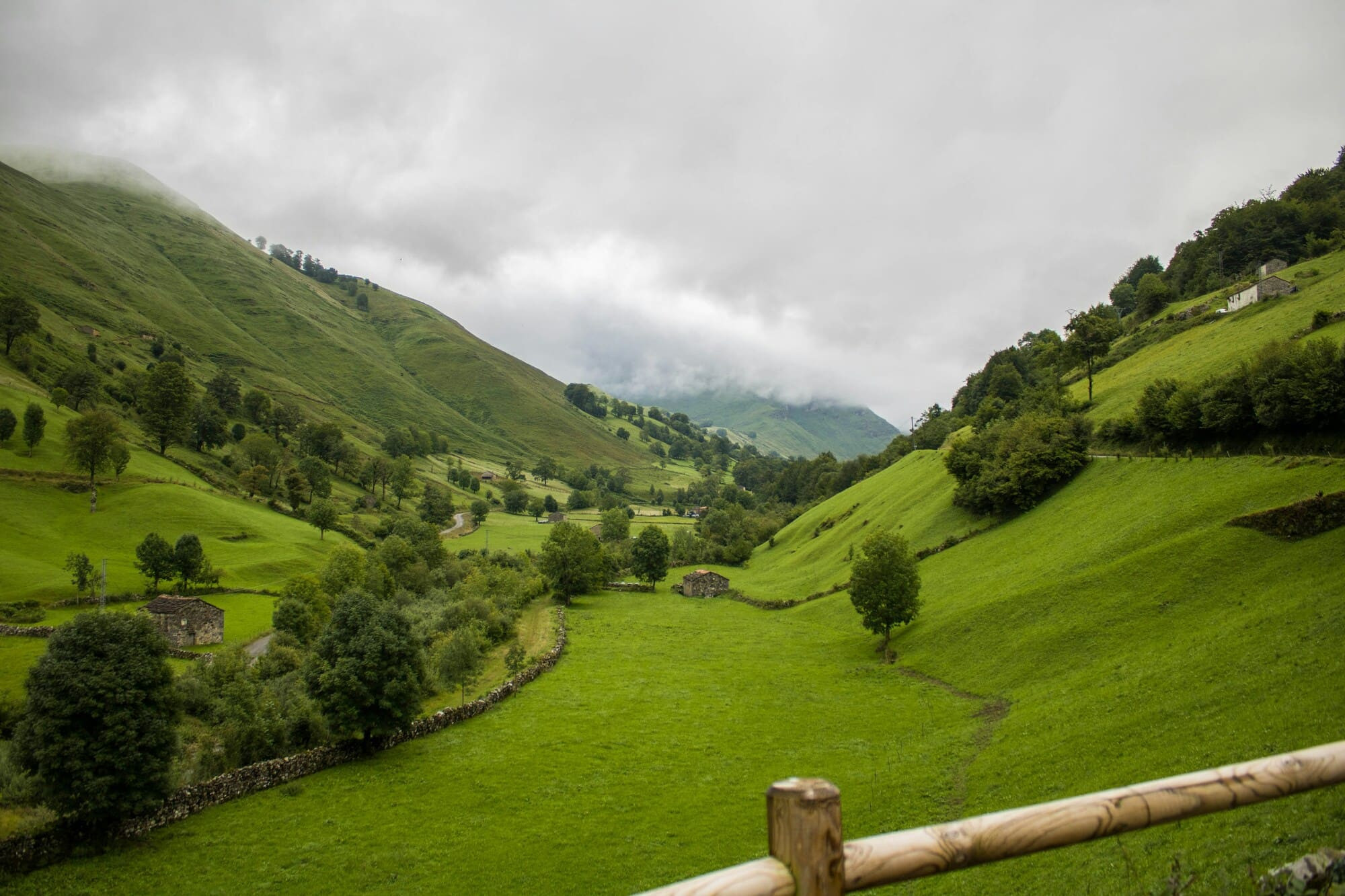 Your Signature Guide