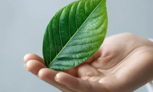 Sustainability & EcoEvents