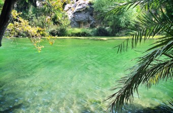 Randonnée privé à travers la palmeraie de Preveli au départ de Rethymnon