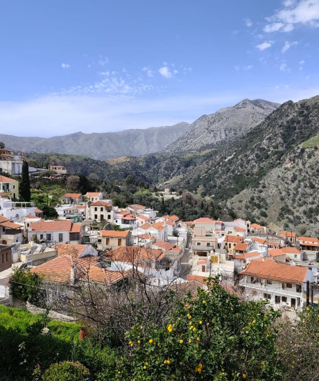 Oil, Carob and Water: The Three Treasures of Cretan Land